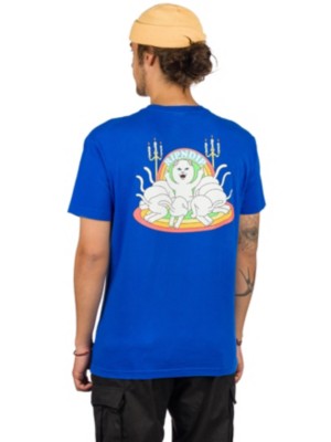 RIPNDIP Nettbutikk | Blue Tomato Netthandel RIPNDIP Smokin T skjorte hos Blue Tomato